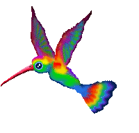 Click here to enter Ashtanga Yoga For You Web Home